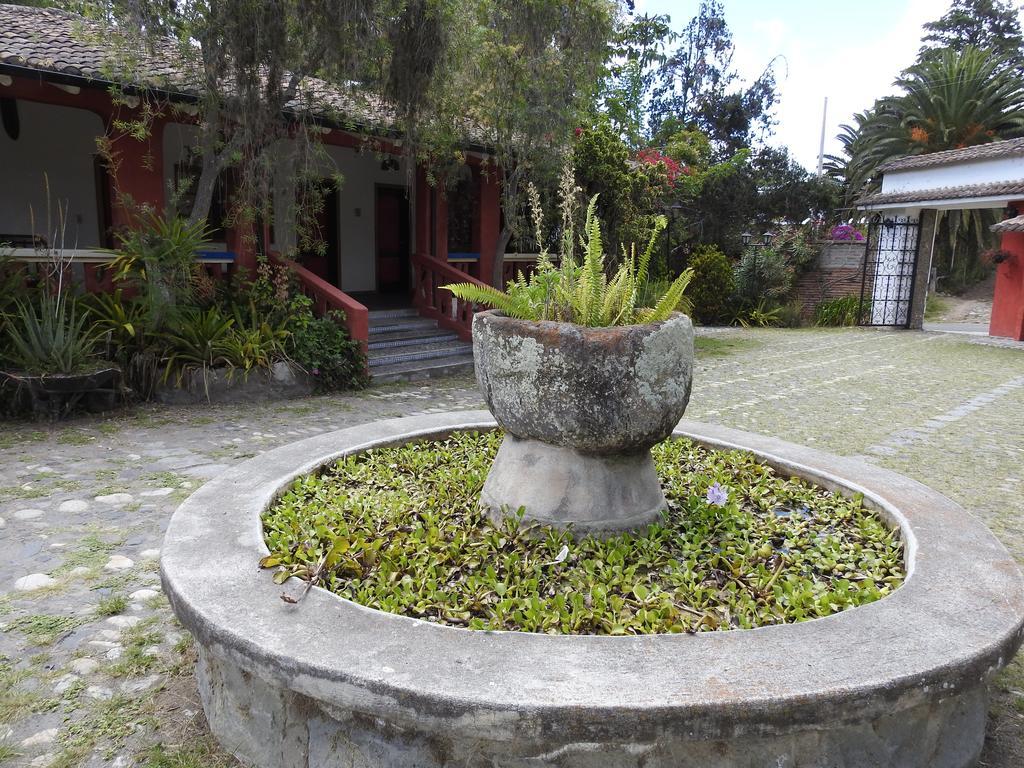 Hosteria Museart Pantavi Tumbabiro エクステリア 写真