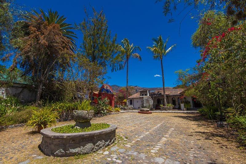 Hosteria Museart Pantavi Tumbabiro エクステリア 写真
